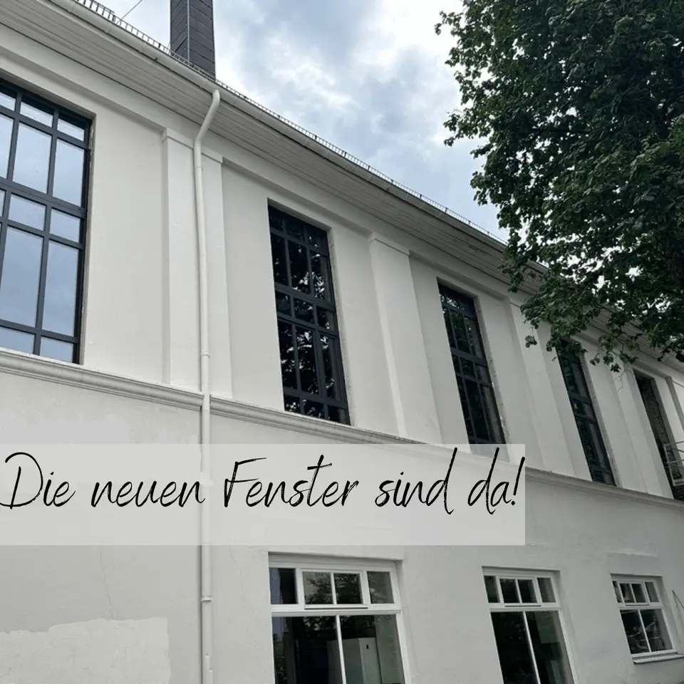 Die neuen Fenster sind da!