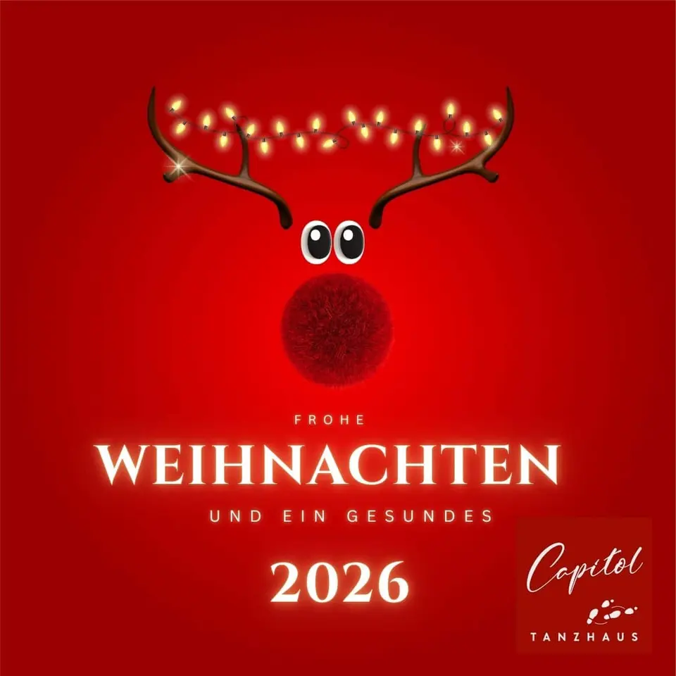 Frohe Weihnachten & ein gutes neues Jahr 🎄✨