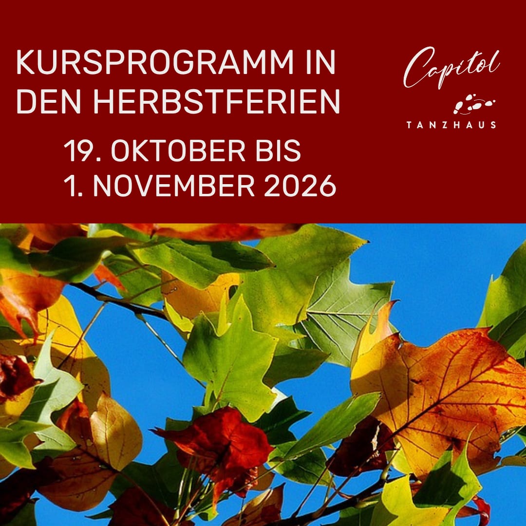 Unser Kursprogramm in den Herbstferien 2026