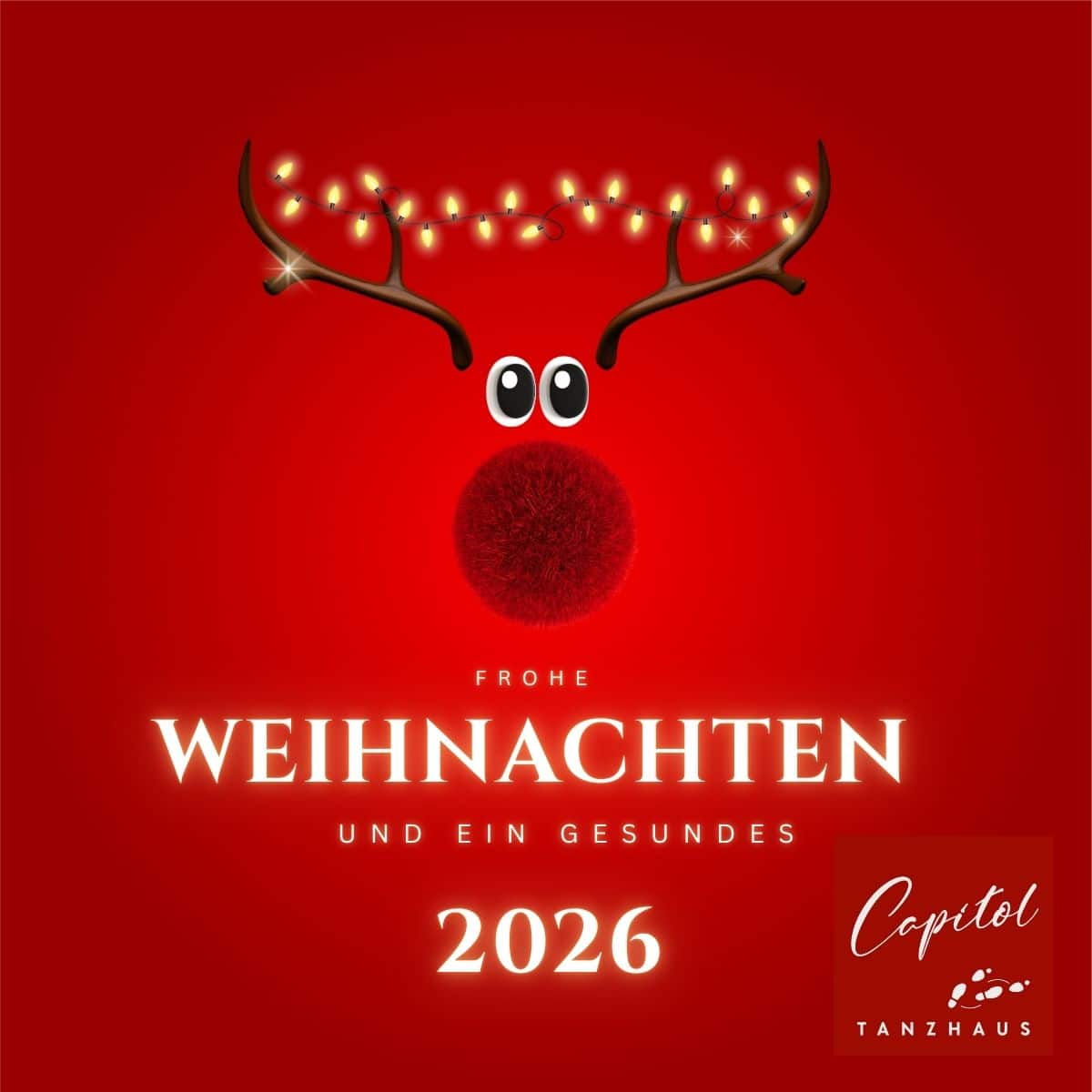 Frohe Weihnachten & ein gutes neues Jahr 🎄✨